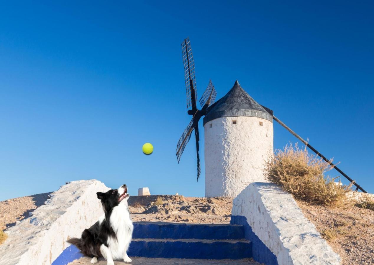 Apartamento Vistas Molineras Consuegra Kültér fotó